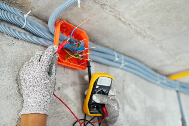 Best Ceiling Fan Installation Electrician  in Tamaqua, PA
